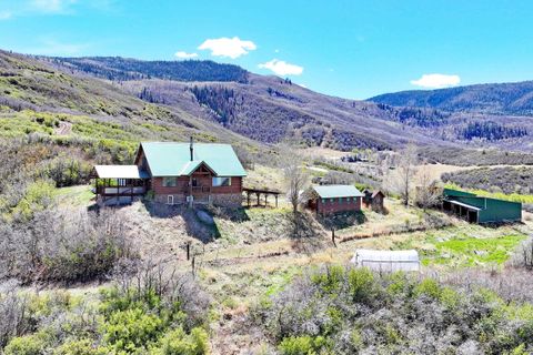 Photo of 10822 60 3/4 Road, Collbran, CO 81162 (MLS # 20261643)