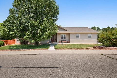 Photo of 1425 Graham Court, Rifle, CO 81650 (MLS # 20263157)