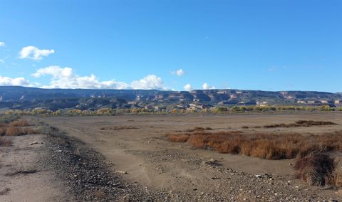 Photo of 1165 15 Road, Loma, CO 81524 (MLS # 20245288)