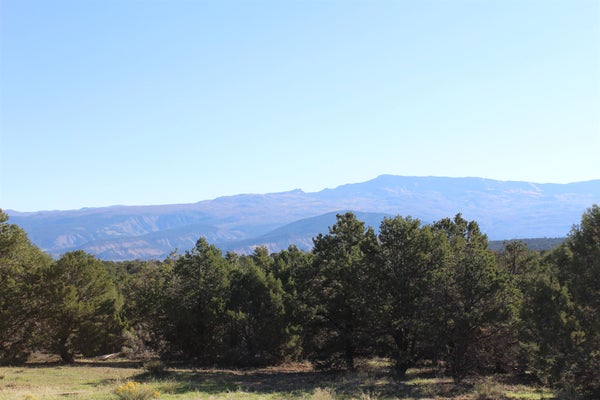 215 COUNTY ROAD 22 A, MONTROSE, CO 81403 - Image 3ce5cf9b954bf357375f084e308bc1f5/1150821638