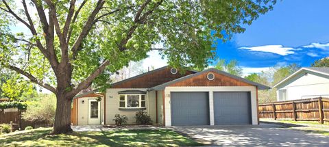 Photo of 567 Milleman Street, Palisade, CO 81526 (MLS # 20261151)