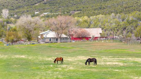 Photo of 11260 54 7/10 Road, Molina, CO 81645 (MLS # 20262207)