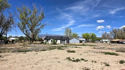 Photo of 10451055 E 9th Street, Delta, CO 81416 (MLS # 20261618)