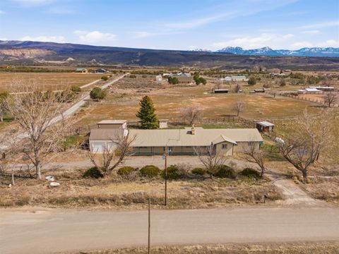 Photo of 16216 2600 Road, Cedaredge, CO 81413 (MLS # 20262465)
