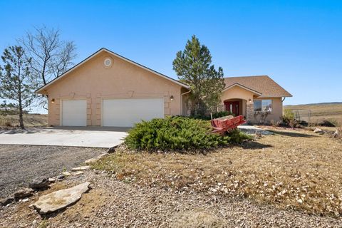 Photo of 32001 Stone Tree Lane, Whitewater, CO 81527 (MLS # 20261343)