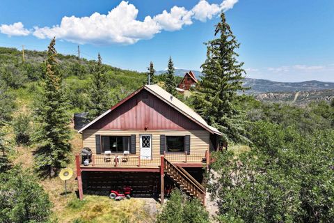 Photo of 15699 Aspen Glen Lane, Collbran, CO 81624 (MLS # 20263439)