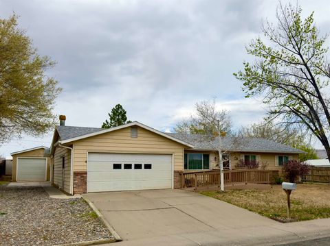 Photo of 2894 Darla Drive, Grand Junction, CO 81506 (MLS # 20261446)