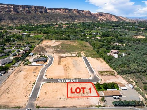 Photo of 566 Five View Lane, Grand Junction, CO 81507 (MLS # 20261725)