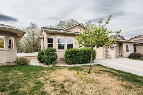 Photo of 55512 Garden Grove Court, Grand Junction, CO 81501 (MLS # 20261699)