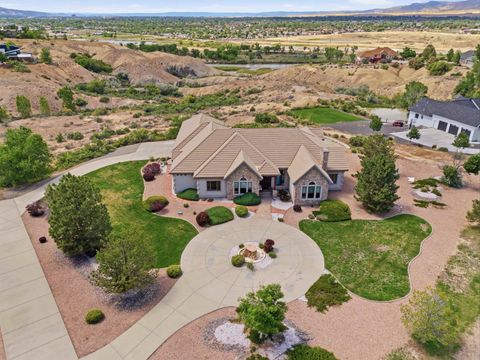Photo of 353 Vino Tinto Lane, Palisade, CO 81526 (MLS # 20262466)