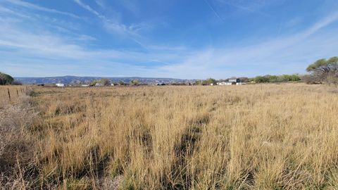 Photo of 1844 M Road, Fruita, CO 81521 (MLS # 20261382)