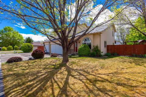 Photo of 502 Elderberry Drive, Fruita, CO 81521 (MLS # 20261747)
