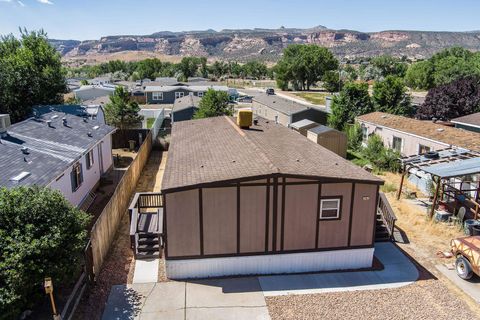 Photo of 262 Red Cliffs Drive, Fruita, CO 81521 (MLS # 20263141)