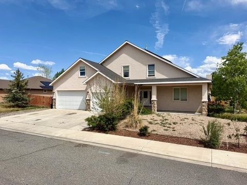 Photo of 424 Marianne Drive, Grand Junction, CO 81504 (MLS # 20261851)