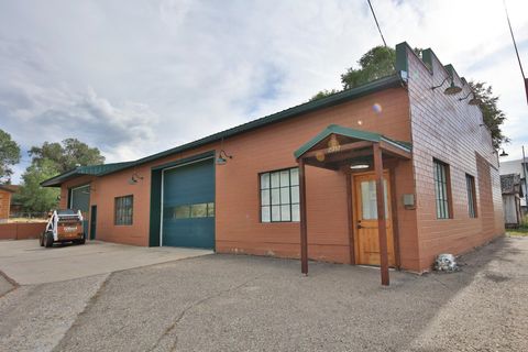 Photo of 15757 57 1/2 Road, Collbran, CO 81624 (MLS # 20261846)