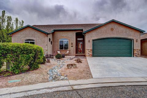 Photo of 1270 Wolf Creek Court, Fruita, CO 81521 (MLS # 20261458)