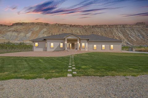 Photo of 365212 G 7/10 Road, Palisade, CO 81526 (MLS # 20251674)