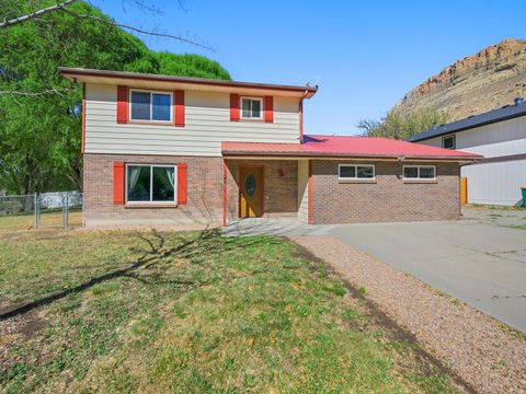Photo of 122 Davis Circle, Palisade, CO 81526 (MLS # 20261563)