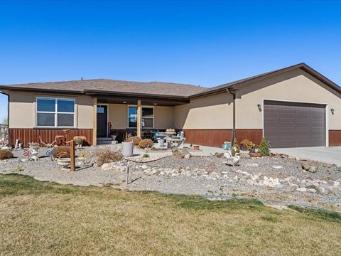 Photo of 20155 Sol Vista Lane, Delta, CO 81416 (MLS # 20261275)