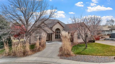 Photo of 638 Big Stone Lane, Grand Junction, CO 81507 (MLS # 20261437)