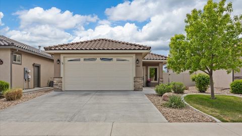 Photo of 2841 Trevor Mesa Drive, Grand Junction, CO 81503 (MLS # 20261738)