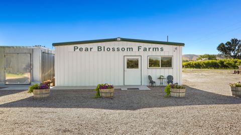 Photo of 3376 C Road, Palisade, CO 81526 (MLS # 20260083)