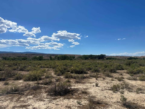 Photo of 523 Desert Road, Whitewater, CO 81527 (MLS # 20264081)