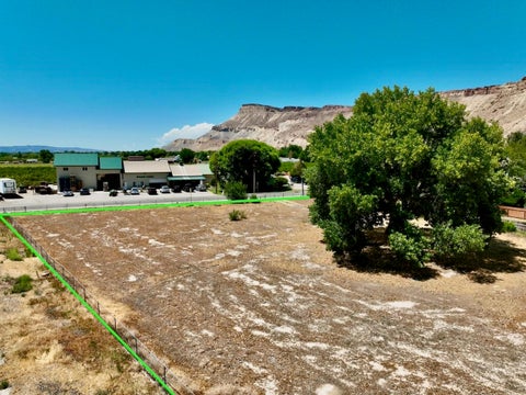 Photo of 724 Elberta Avenue, Palisade, CO 81526 (MLS # 20263877)