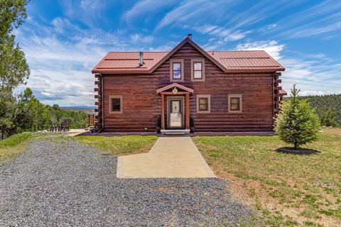 Photo of 26986 Cactus Park Road, Cedaredge, CO 81413 (MLS # 20262358)