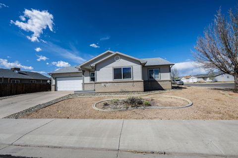 Photo of 455 David Court, Fruita, CO 81521 (MLS # 20261605)