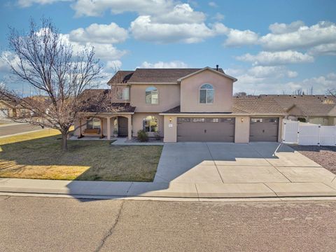Photo of 858 Delean Way, Fruita, CO 81521 (MLS # 20261268)