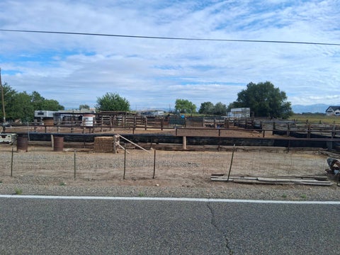Photo of 1682 M Road, Fruita, CO 81521 (MLS # 20264020)
