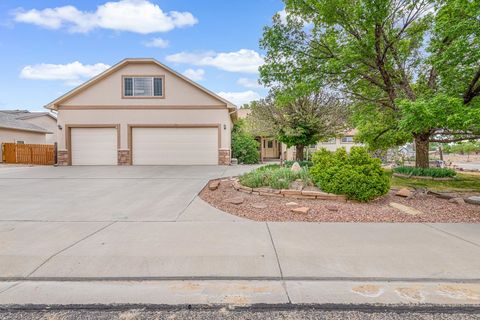 Photo of 976 Murray Street, Fruita, CO 81521 (MLS # 20262122)