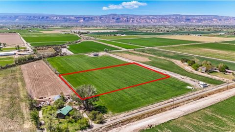 Photo of 1244 21 Road, Grand Junction, CO 81505 (MLS # 20262162)
