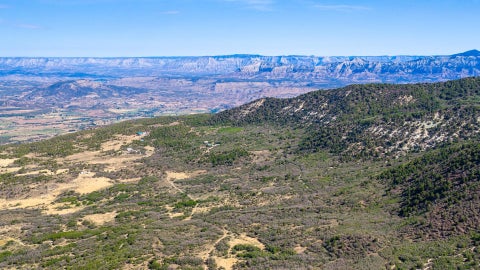 Photo of TBD Coon Creek Road, Mesa, CO 81643 (MLS # 20263725)