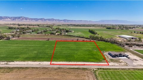 Photo of 1242 21 Road, Grand Junction, CO 81505 (MLS # 20261918)