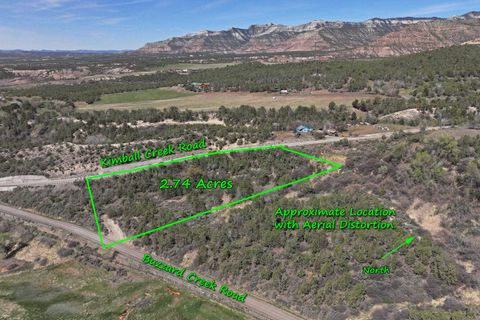 Photo of 58450 Buzzard Creek Road, Collbran, CO 81624 (MLS # 20261577)