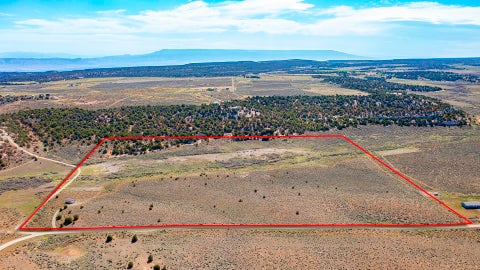 Photo of TBD S Trail Canyon Drive, Glade Park, CO 81523 (MLS # 20263974)