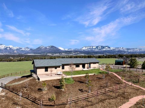 Photo of 1190 7745 Road, Crawford, CO 81415 (MLS # 20261171)