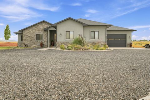 Photo of 1348 Robinson Court, Mack, CO 81525 (MLS # 20263504)