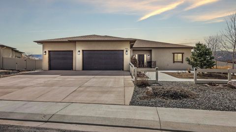 Photo of 944 Adobe View Way, Fruita, CO 81521 (MLS # 20261188)