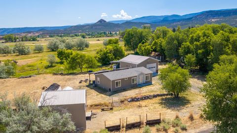 Photo of 49088 KE Road, Mesa, CO 81643 (MLS # 20263477)