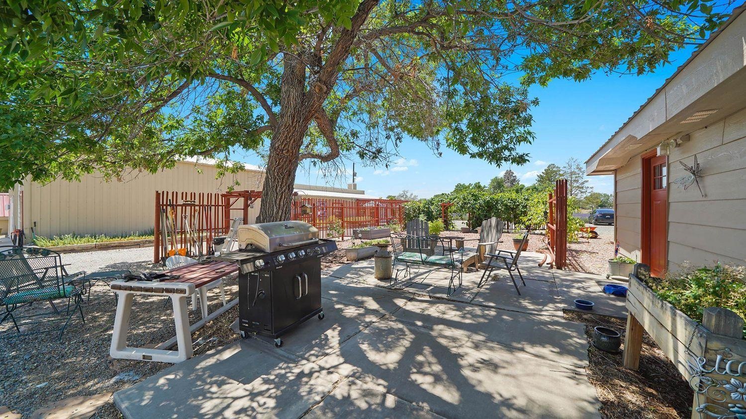 Palisade, Colorado, 81526, United States, 3 Bedrooms Bedrooms, ,1 BathroomBathrooms,Residential,Active,2008709