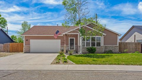 Photo of 1260 Tara Drive, Fruita, CO 81521 (MLS # 20262204)