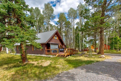 Photo of 103 Aspen Drive, Cimarron, CO 81220 (MLS # 20264474)