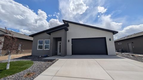 Photo of 1670 Rusty Rivet Road, Fruita, CO 81521 (MLS # 20261680)