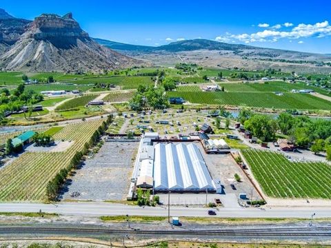 Photo of 1041 N River Road, Palisade, CO 81526 (MLS # 20262148)