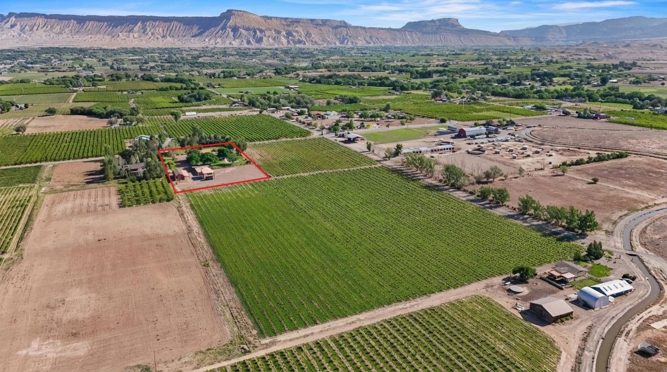 Palisade, Colorado, 81526, United States, 5 Bedrooms Bedrooms, ,5 BathroomsBathrooms,Residential,Active,2008295