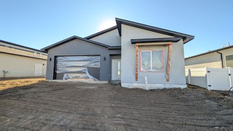 Photo of 1640 Rusty Rivet Road, Fruita, CO 81521 (MLS # 20255594)