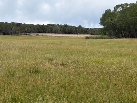 Photo of TBD Cactus Park Road, Cedaredge, CO 81413 (MLS # 20262914)